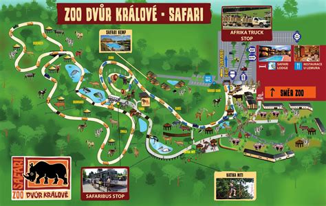 zoo dvur kralove safari park